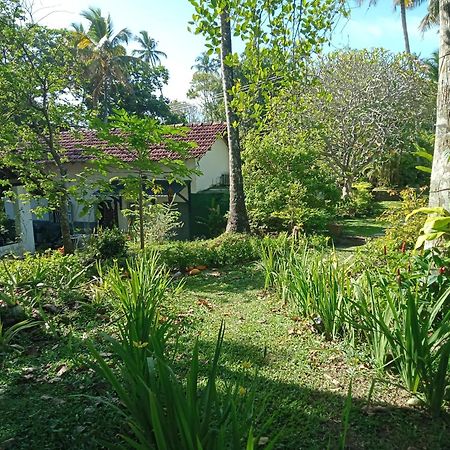 Freedom192 Hotel Weligama Ngoại thất bức ảnh