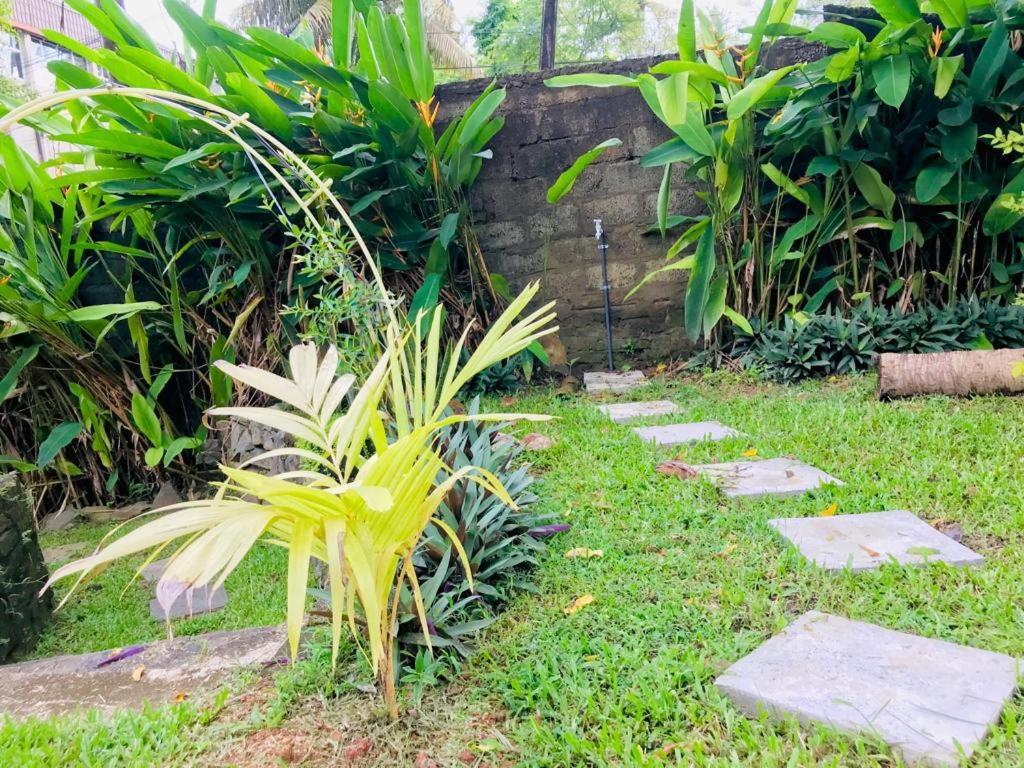 Freedom192 Hotel Weligama Ngoại thất bức ảnh