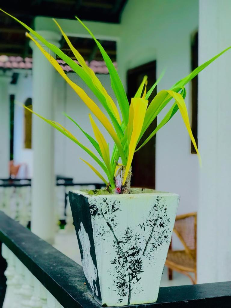Freedom192 Hotel Weligama Phòng bức ảnh