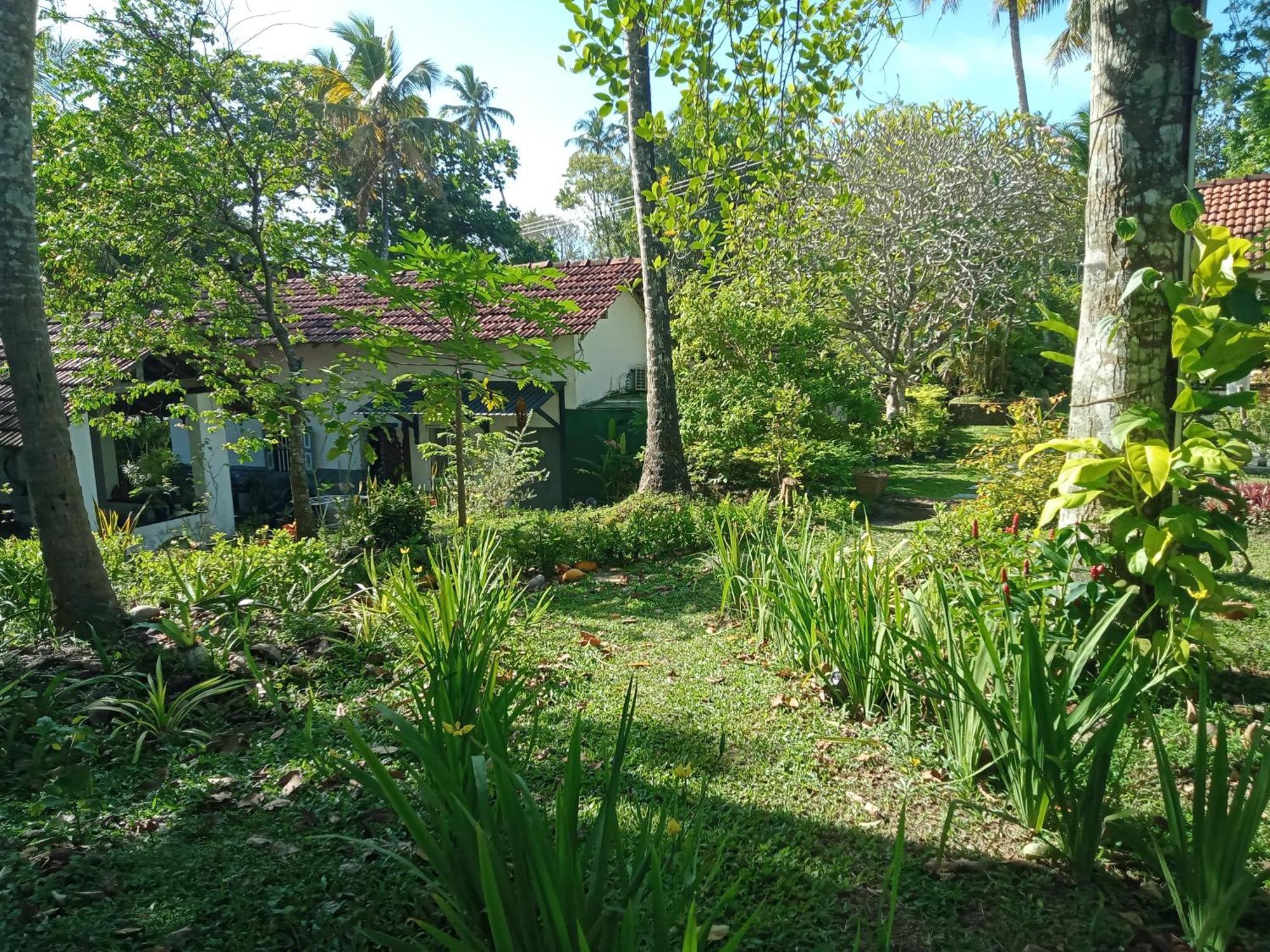 Freedom192 Hotel Weligama Ngoại thất bức ảnh