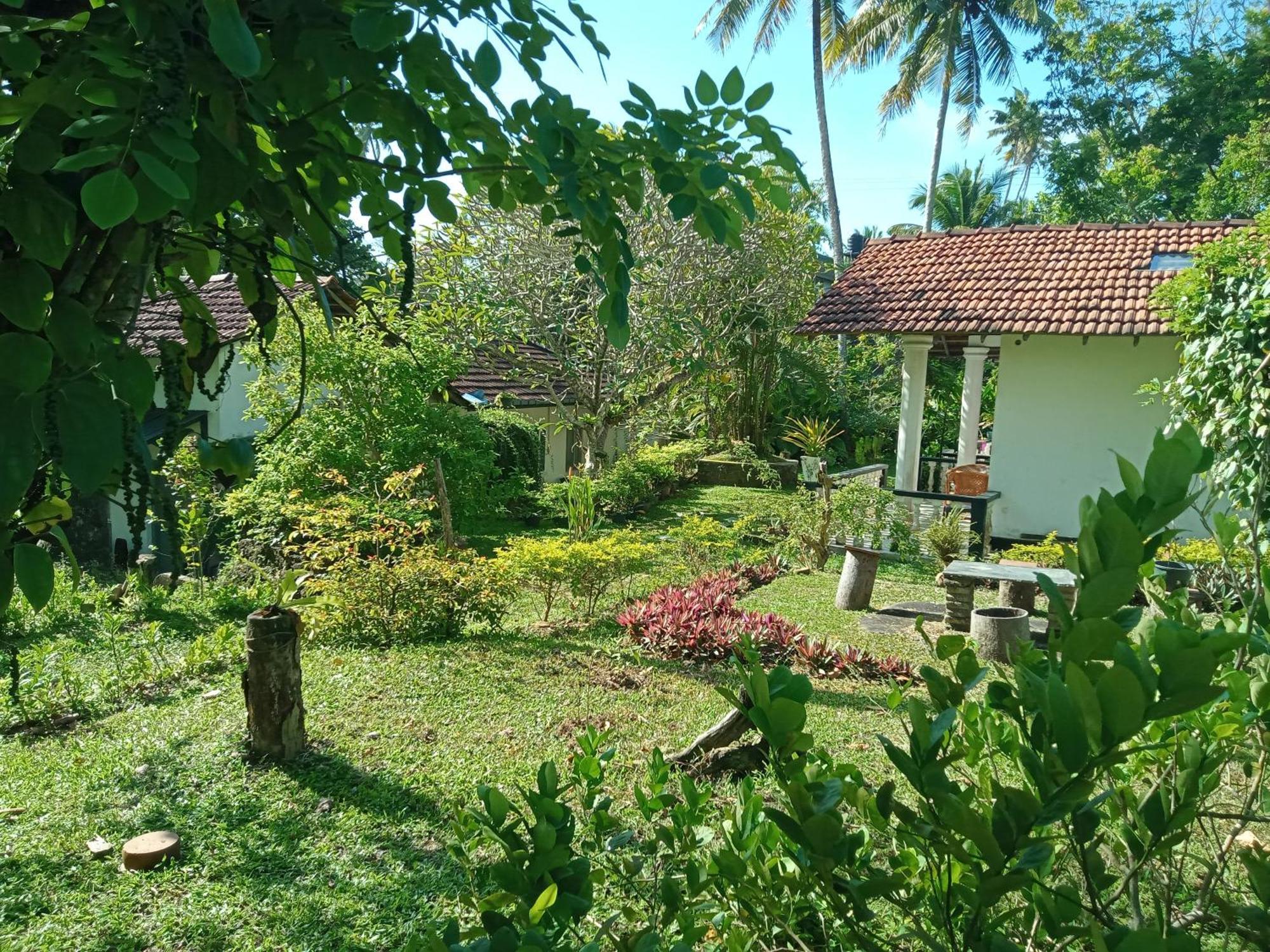 Freedom192 Hotel Weligama Ngoại thất bức ảnh